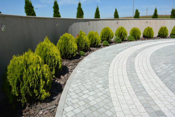 Reasons to Select Us for Your Driveway Paving Requirements in Gun Barrel City, TX
